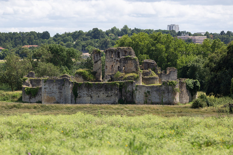 La biodiversit du marais de la forteresse