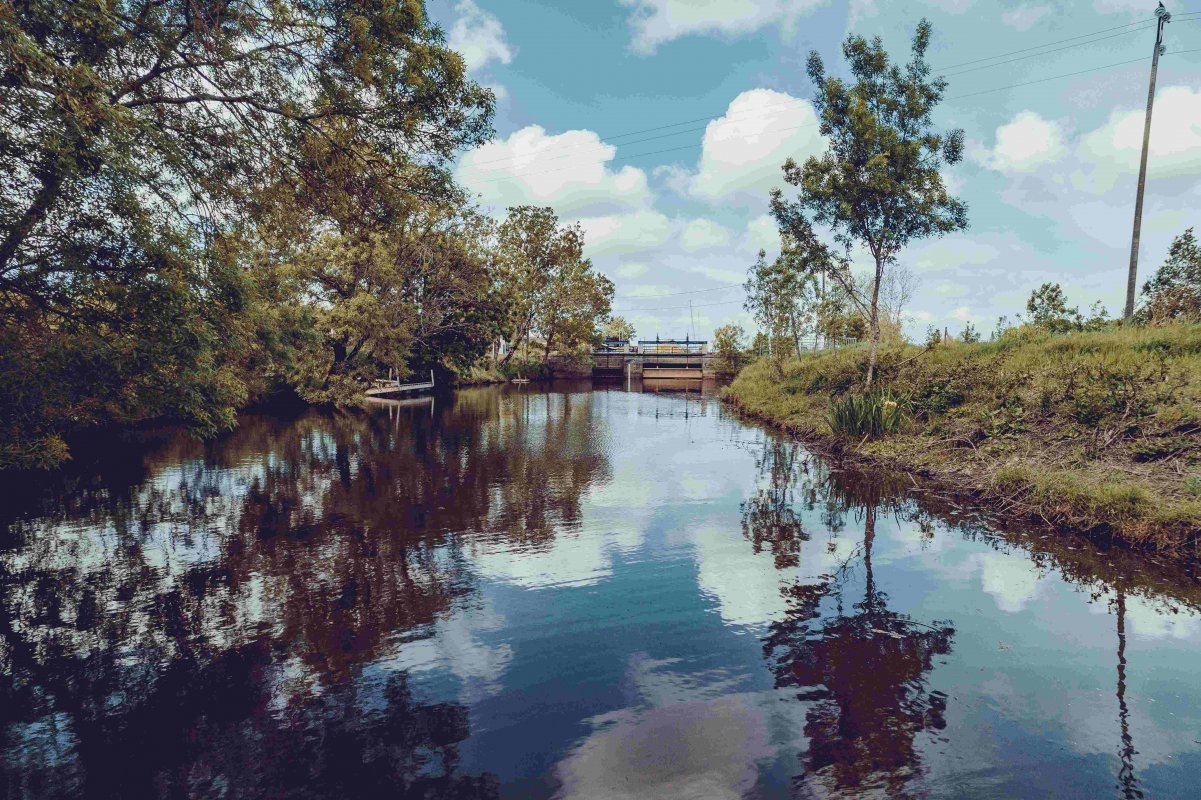 A la dcouverte du marais du Gu