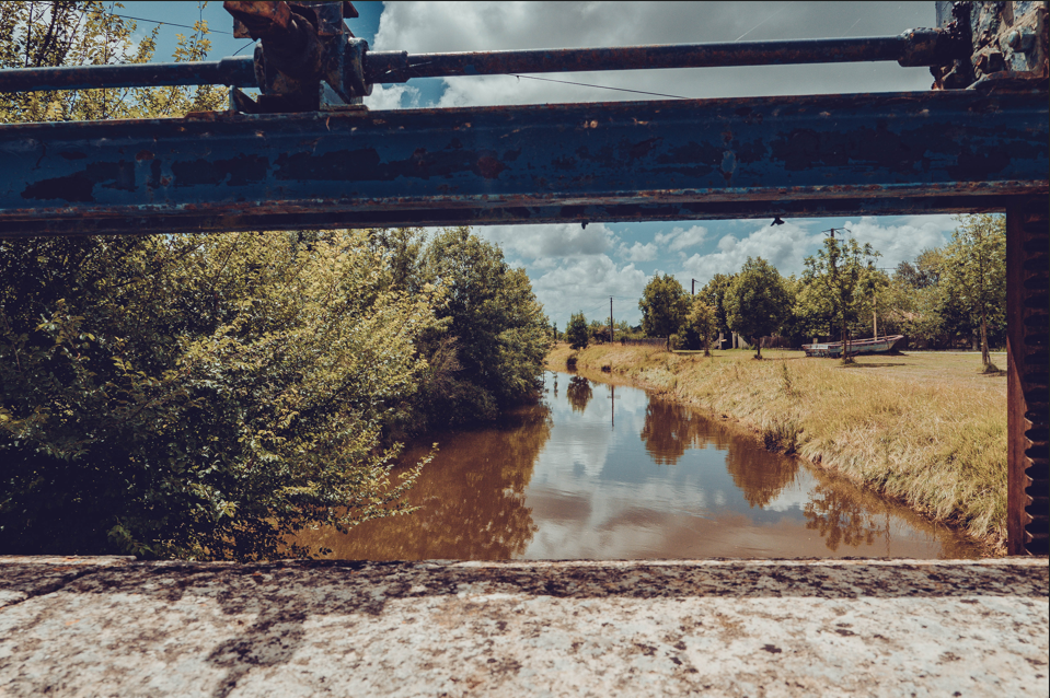 Les trsors des rives de l'estuaire