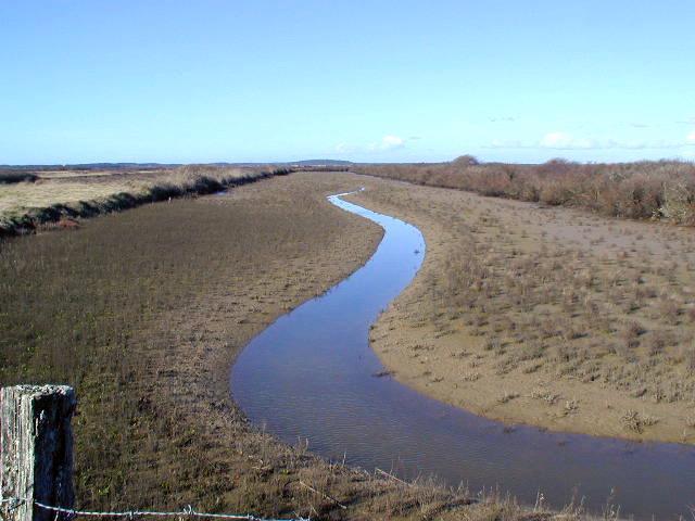 Solutions fondes sur la nature : le rle purateur des marais de Soulac