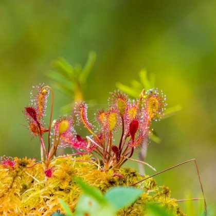 Les zones humides au fil des saisons